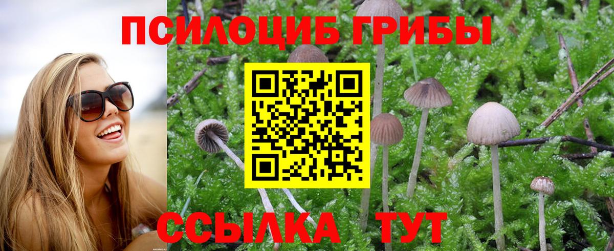 Псилоцибиновые грибы мухоморы Клин